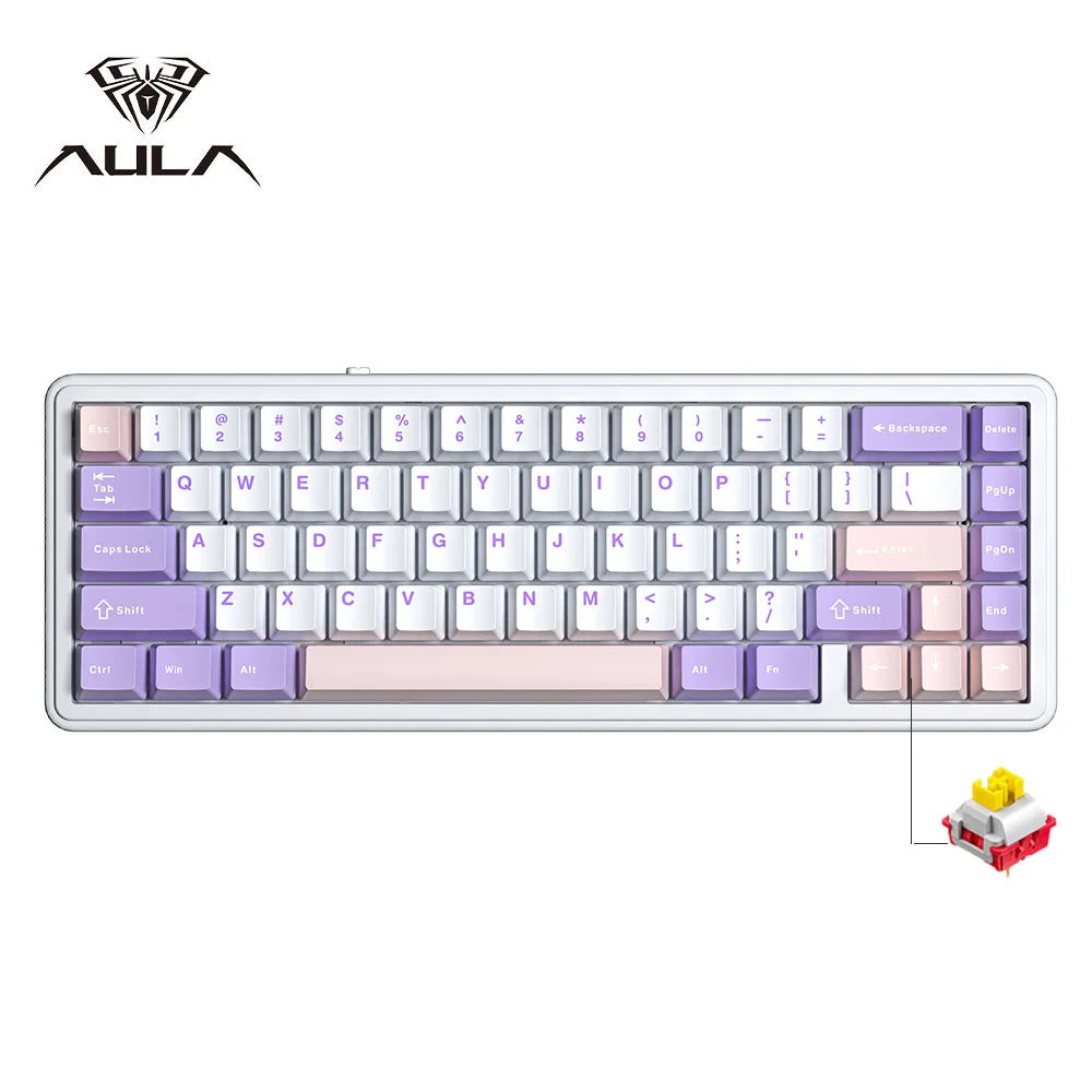 Aula F65 65% Wireless Mechanical Keyboard RGB Backlit Hot Swappable Gasket Custom 3 Mode Gaming Keyboard with Five-Layer Padding