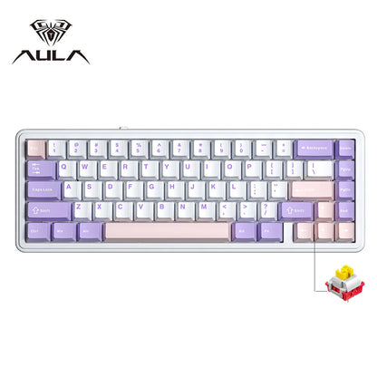 Aula F65 65% Wireless Mechanical Keyboard RGB Backlit Hot Swappable Gasket Custom 3 Mode Gaming Keyboard with Five-Layer Padding